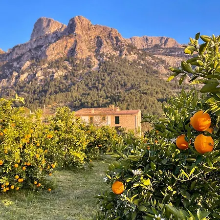 Holiday home Sivella Groc Soller