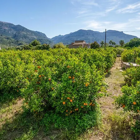 Sivella Groc Casa de Férias