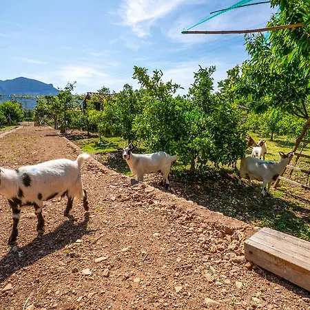 Nyaraló Sivella Groc Sóller